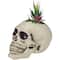 9" LED Lighted Succulent Halloween Skull Planter